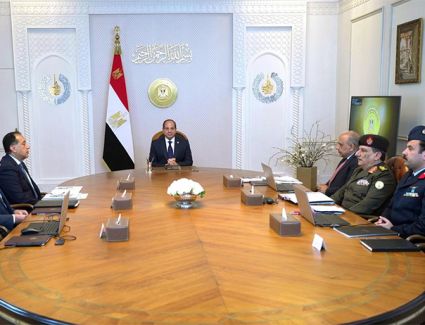 الرئيس السيسي يطلع على الموقف التنفيذي لتوفير التغذية الكهربائية والمخطط الزمني للأحمال المطلوبة للمشروعات