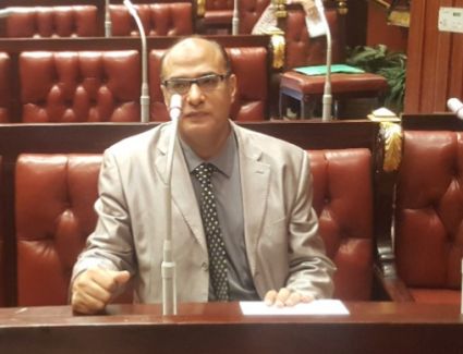 حسن عمار يشيد بوزارة الداخلية: جهود مشكورة لضبط الفوضى الرقمية ومحاسبة المخالفين